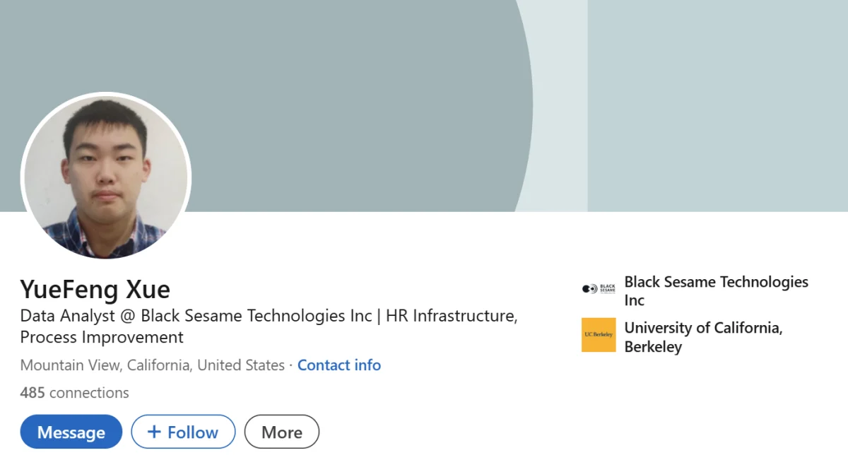 LinkedIn Headline Example For HR Data Analyst