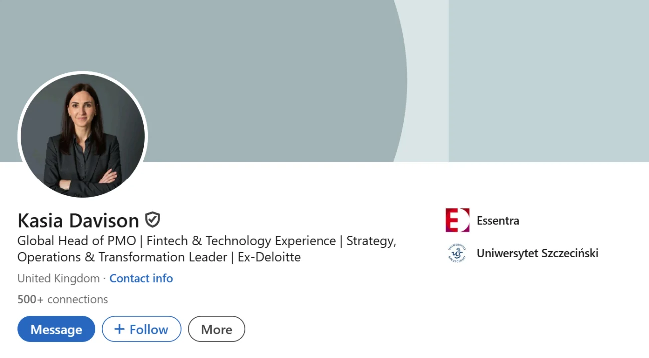 LinkedIn Headline Example For PMO