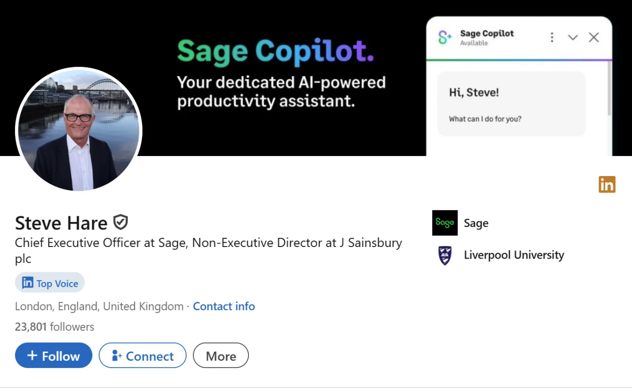 LinkedIn Headline Example For The Public Established CEO
