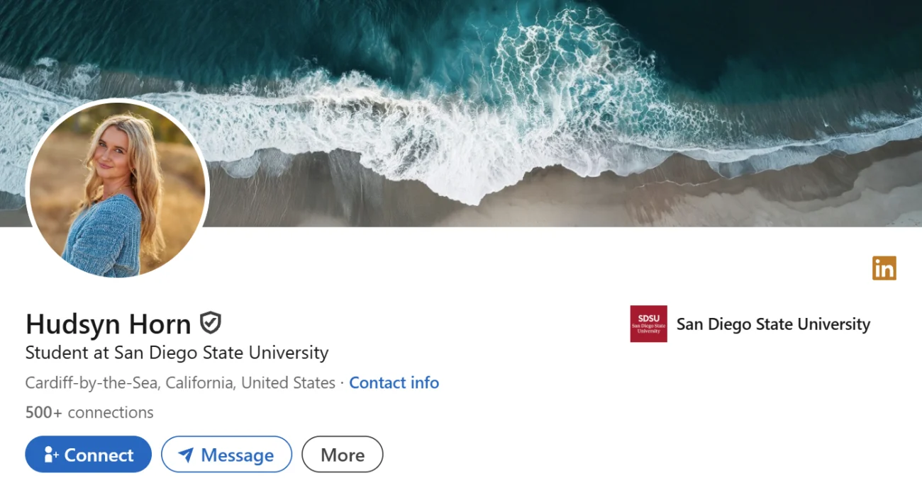 LinkedIn Headline Example For Student