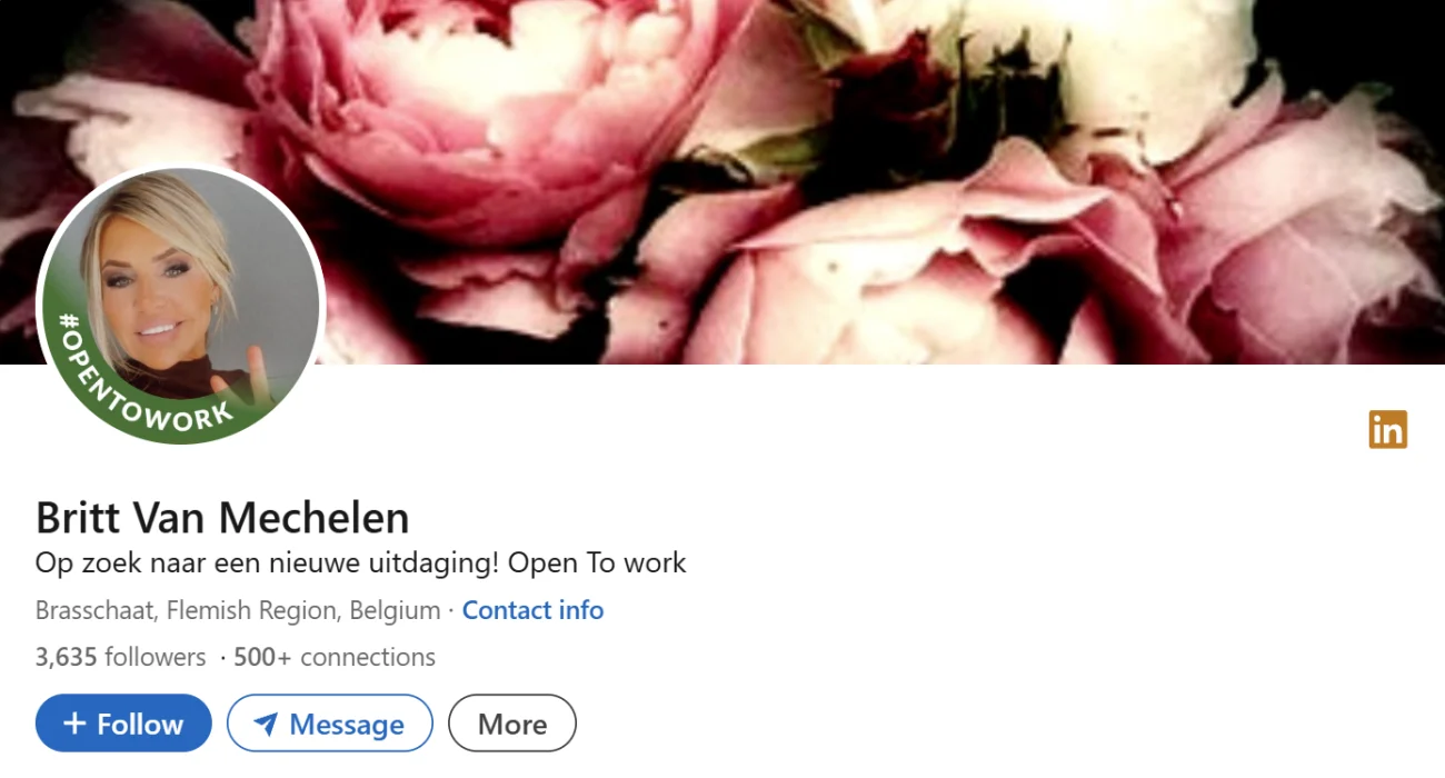 'Open To Work' LinkedIn Headline Examples