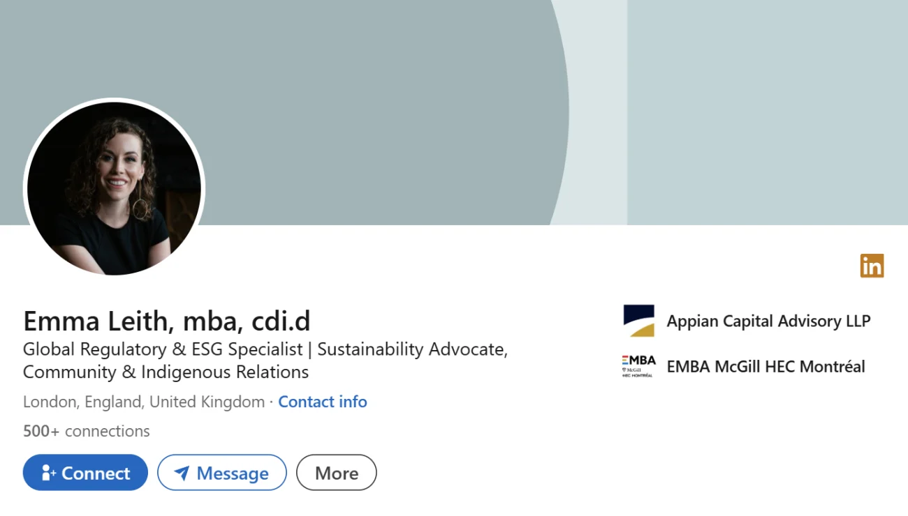 LinkedIn Headline Example For ESG Specialist