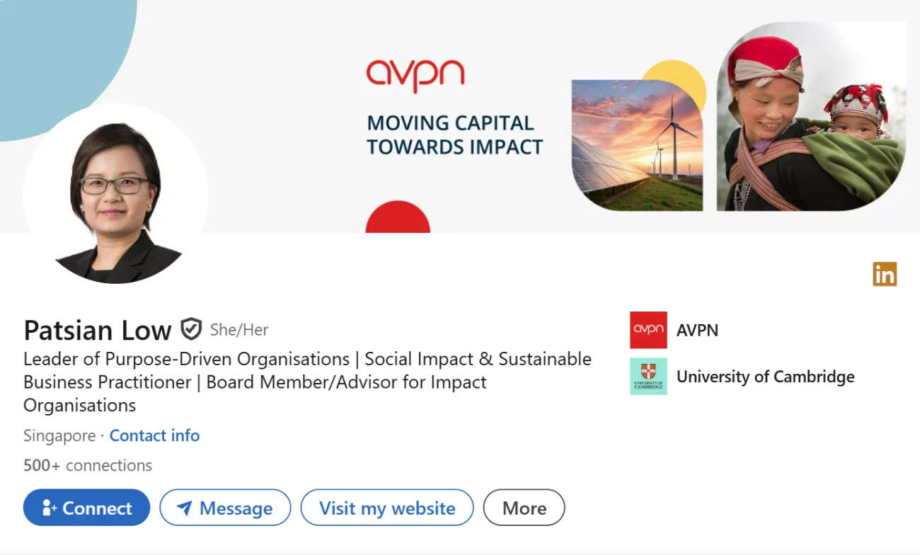 LinkedIn Headline Example For Non Profit & Social Impact Leaders