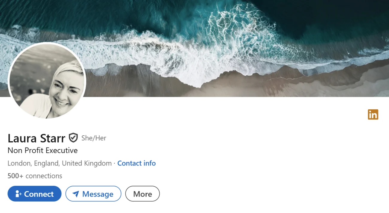 LinkedIn Headline Example For Non Profit Volunteer